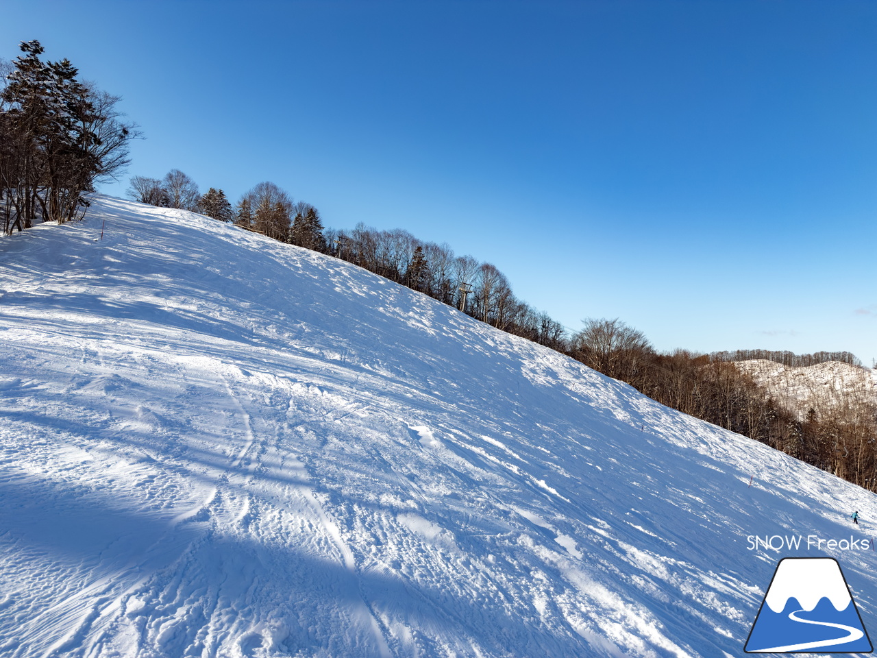 桂沢国設スキー場｜今冬最上級のふわっふわのパウダースノーが舞い降りた
